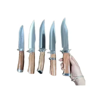 Decorated Fixed Blade Knife High Carbon Steel Outdoor Hunting Wood Handle Survival Knife for Camping