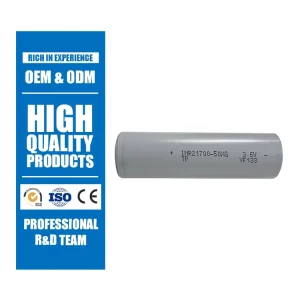 High Rate 90A 3.6V 5000mAh Resistance 21700 50XG Rechargeable Lipo Battery Pack for Electric Loader