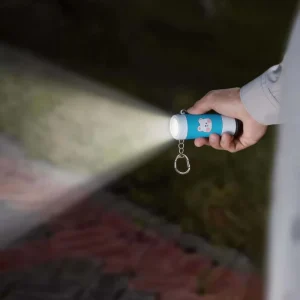 Portable Emergency USB Rechargeable Pocket Torches LED Night Light Mini Keychain Flashlight Multifunctional Portable Blacklight