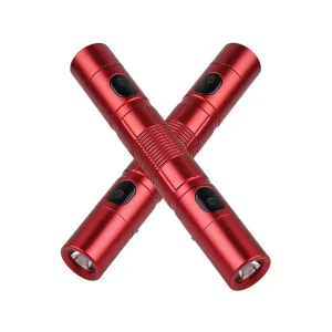 Small Flashlight 5W LED Lightweight Easy to Carry Pocket Type C Aluminum Alloy Torch AAA Battery LED Flashlight